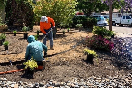About dans landscaping company