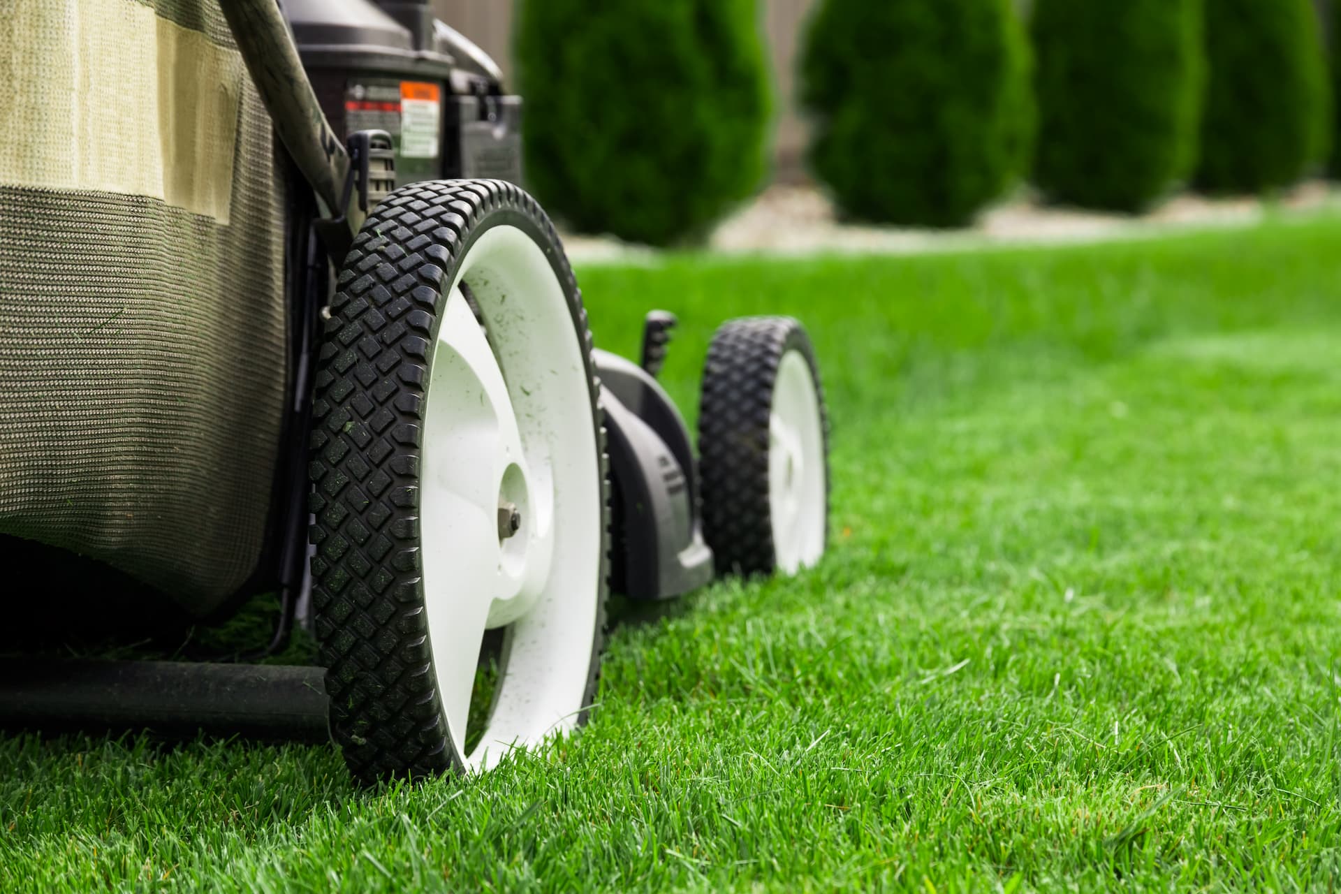 Dan's Landscaping Company Banner
