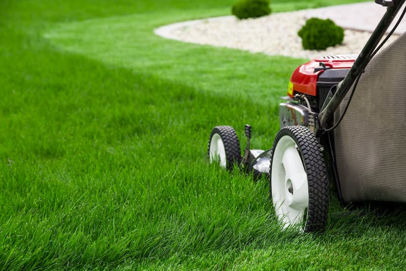 Landscaping Tips