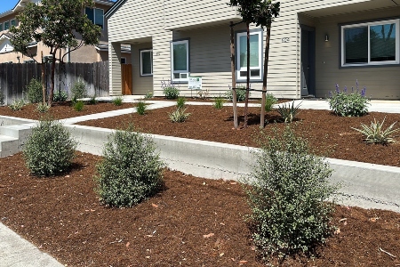 4 Tips for the Perfect Shell Beach Landscape