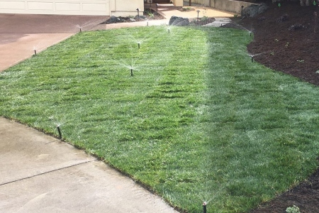 Avila Beach Lawn Maintenance Guidelines