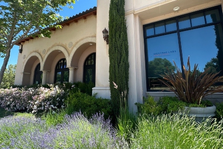 Improve Your Landscape & Improve Your Business