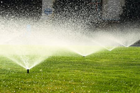 Irrigation Tune-Up Guide For SLO's Dry Summers