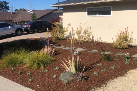 Landscaper Vs. Gardener - What is the Difference?