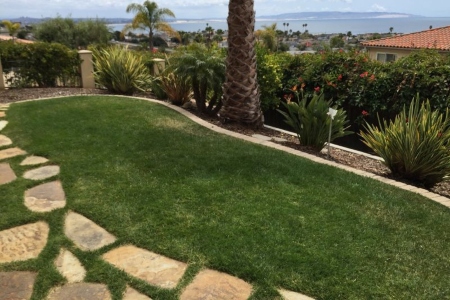 What’s the Difference Between Lawn Care and Landscape Maintenance?