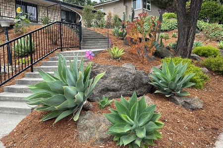 San Luis Obispo, CA Thumbnail
