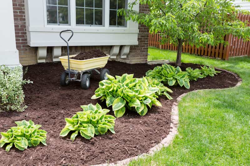Landscape Maintenance Services