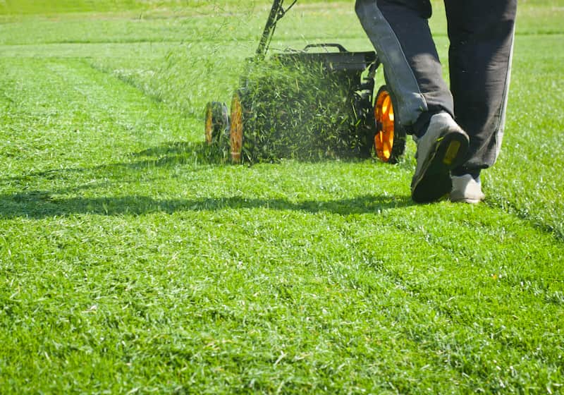 Lawn Care Services