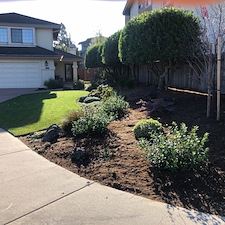 Portfolio - Planter Beds 9