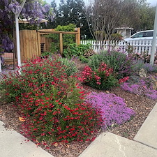 Portfolio - Planter Beds 10
