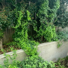 A Landscape Whole Family Can Enjoy For Years San Luis Obispo, CA 1