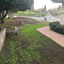 A Landscape Whole Family Can Enjoy For Years San Luis Obispo, CA 2