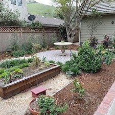 Backyard Landscape Makeover San Luis Obispo, CA 8