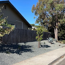Clean Water-Conscious Front Yard San Luis Obispo, CA 6