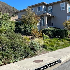 Vibrant New Front Yard Landscaping San Luis Obispo, CA 4