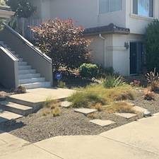 Vibrant New Front Yard Landscaping San Luis Obispo, CA 6