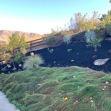 Vibrant New Front Yard Landscaping San Luis Obispo, CA 7