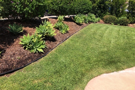 Lawn maintenance san luis obispo ca