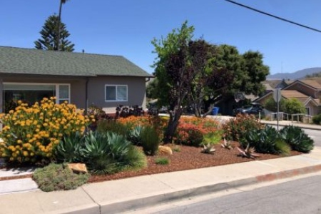 Professional Gardening Thumbnail
