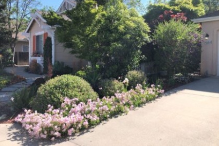 Professional gardening san luis obispo ca