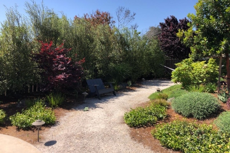 Tree Pruning Services in San Luis Obispo Thumbnail