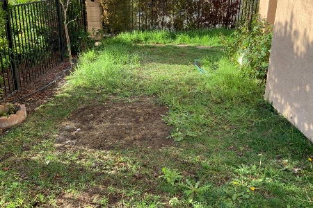 Weed Control