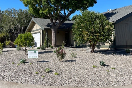 Xeriscape Landscaping