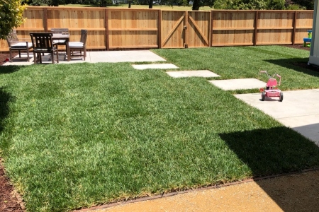 Yard cleanups san luis obispo ca