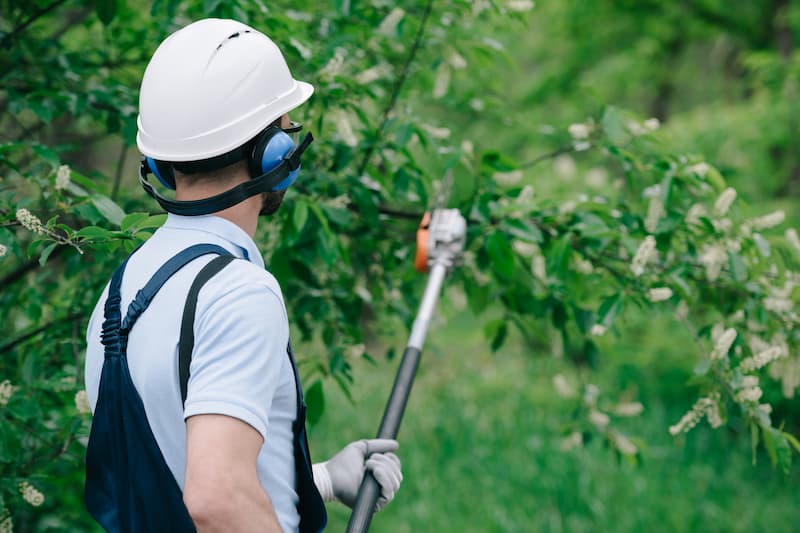 Commercial Landscaping Service Image