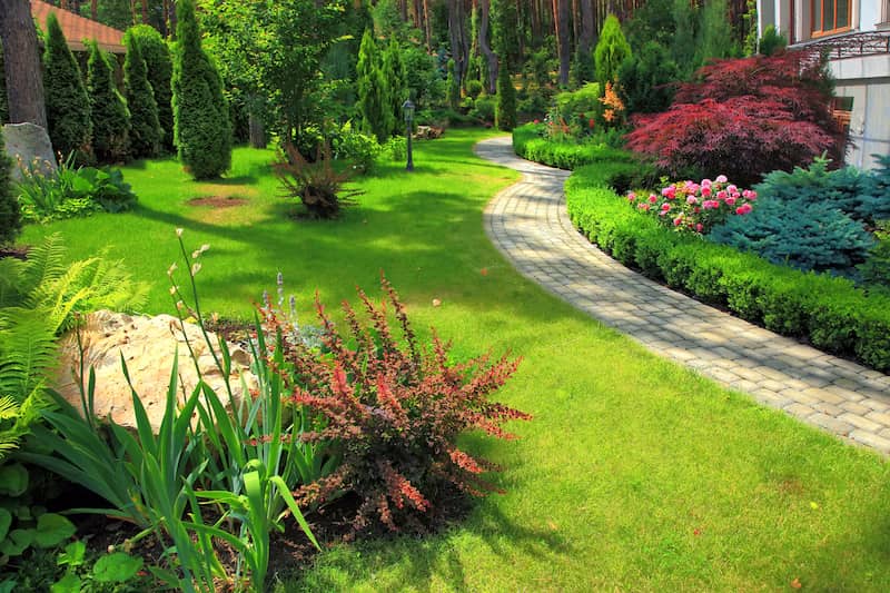 Landscape Design and Installation Service Image