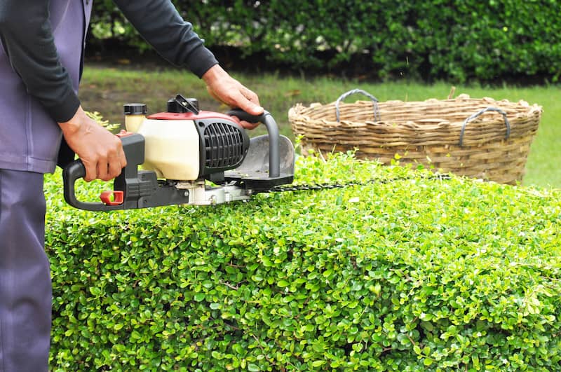 Landscaping Maintenance Service Image