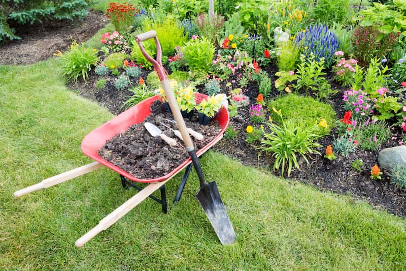 Professional Gardening Service Image