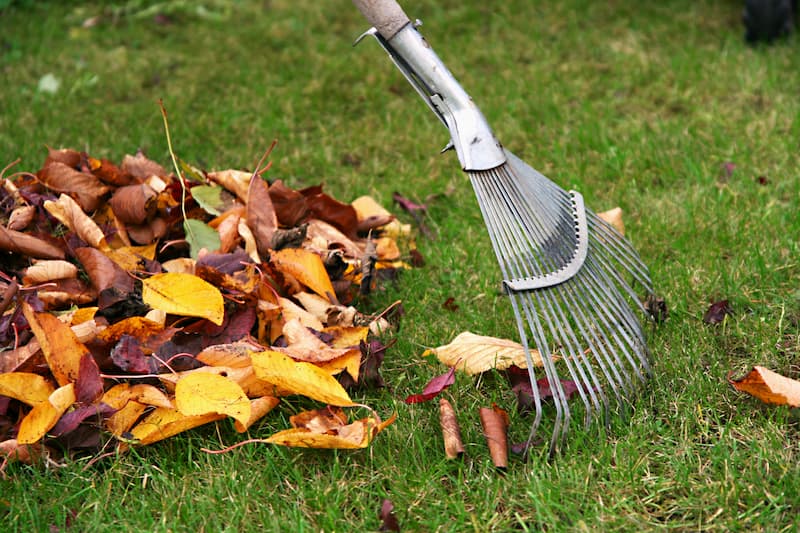 Winter Services and Yard Cleanups Service Image