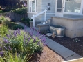 residential-landscape-maintenance-after