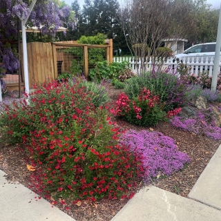 Planter-Beds