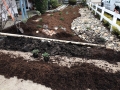 SAN-LUIS-OBISPO-landscaping-5