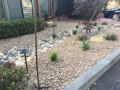 san-luis-obispo-landscaping-5