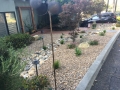 san-luis-obispo-landscaping-8