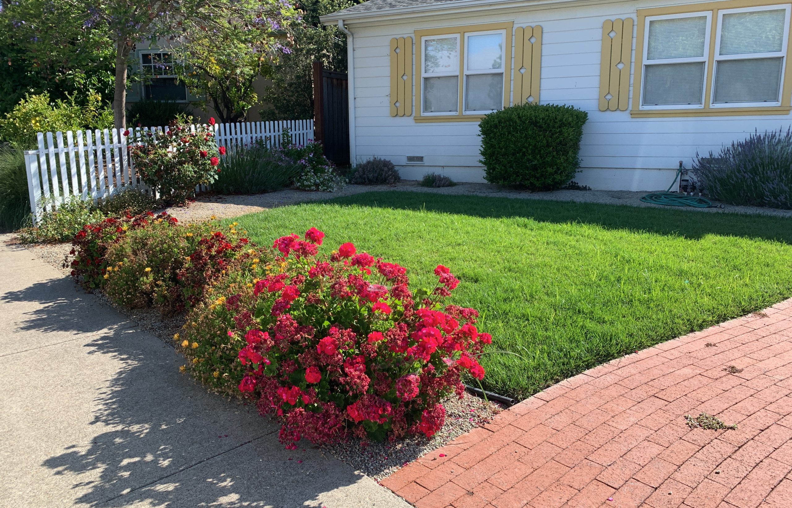 Lawn Maintenance Guidelines