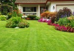 San Luis Obispo Residential Landscape