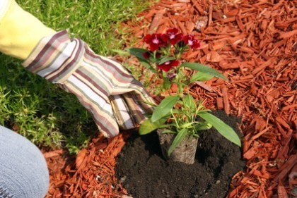 San Luis Obispo Mulching