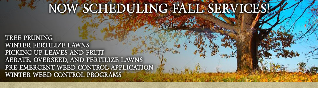 Landscaper in San Luis Obispo