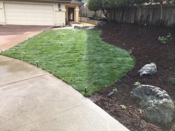 San Luis Obispo landscapers