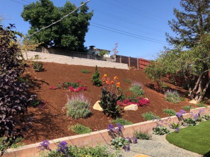 Beautiful Hillside Garden