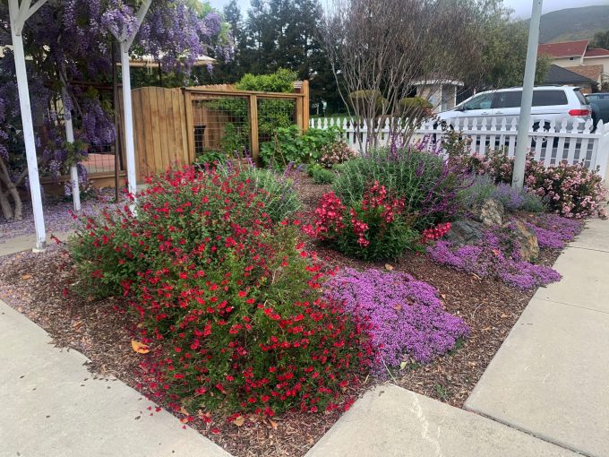 Local Gardener Near Me Montebello thumbnail