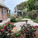 backyard-landscape-makeover-in-san-luis-obispo-ca