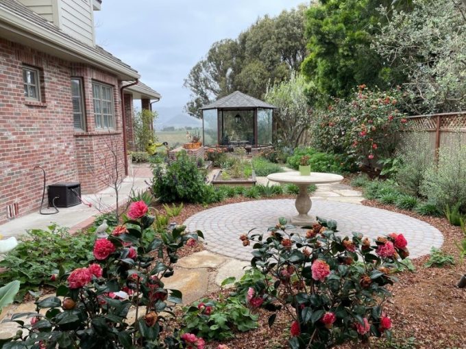 backyard-landscape-makeover-in-san-luis-obispo-ca