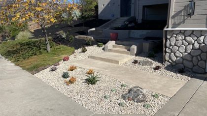 Vibrant & New Front Yard Landscaping in San Luis Obispo, CA