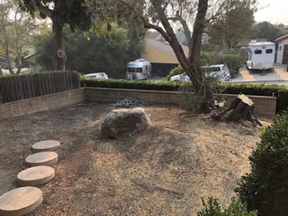 Professional crew performing tree pruning in a San Luis Obispo backyard